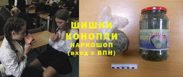 шишки Инта