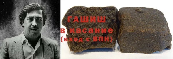 шишки Инта