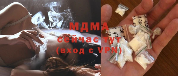 шишки Инта