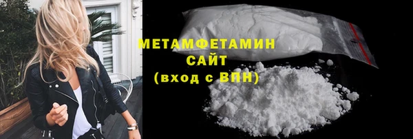 шишки Инта