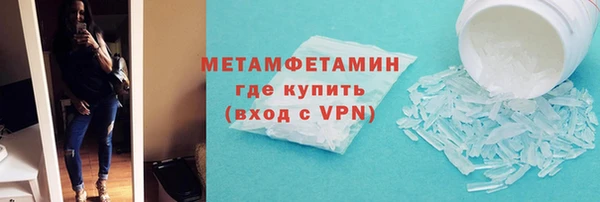 шишки Инта