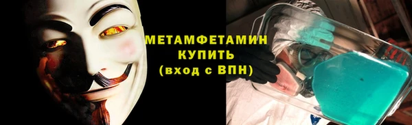 шишки Инта