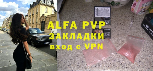 шишки Инта