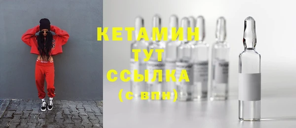шишки Инта