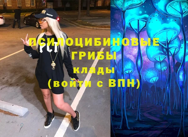 шишки Инта