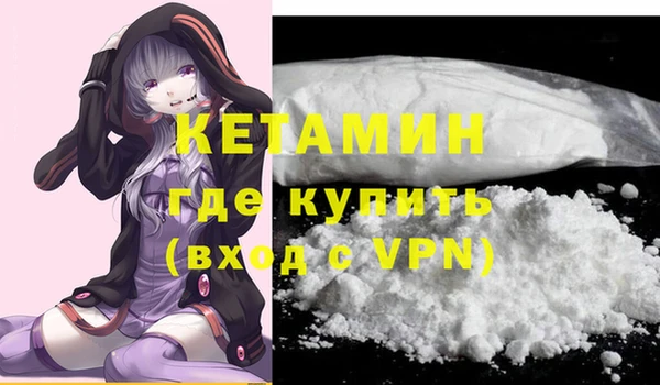 шишки Инта
